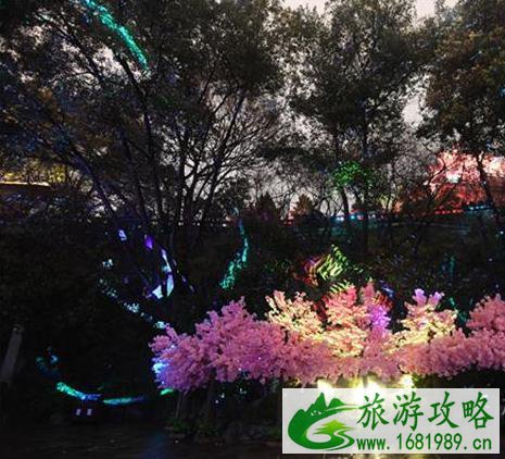 黄鹤楼夜游樱花版对全国医护人员免费 黄鹤楼夜游樱花版对全国医护人员免费
