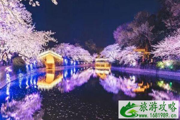 无锡鼋头渚夜樱开放时间2021 无锡鼋头渚夜樱门票