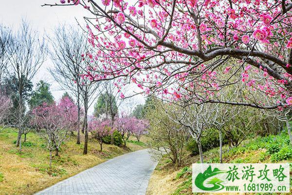 中国国花园门票多少钱2021 中国国花园景点介绍