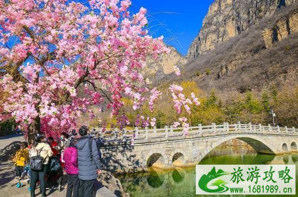 2021云台山景区优惠免费门票活动 2021云台山景区优惠免费门票活动