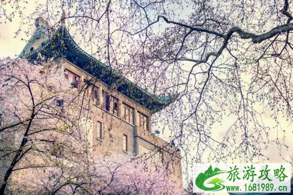 国内赏花最佳地点 2021全新踏春攻略