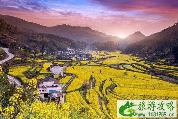 3月旅游的最佳地点国内