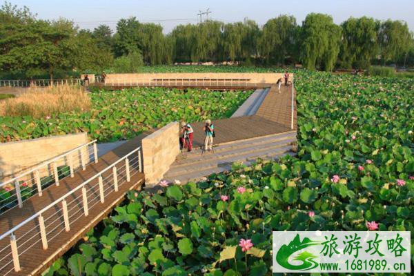 石家庄2021母亲节景区活动-门票免费政策