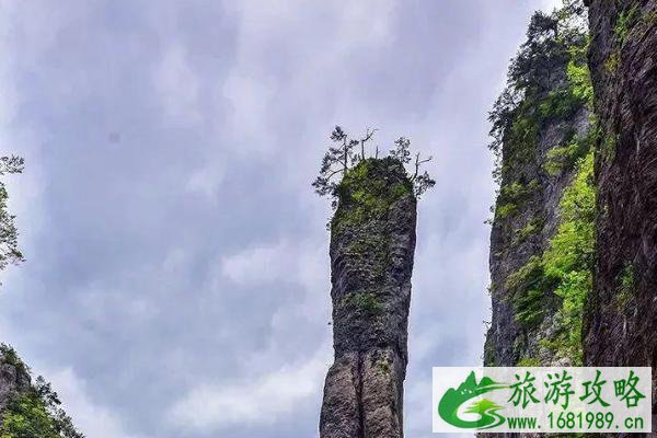 2021神农大峡谷在哪里 门票多少钱