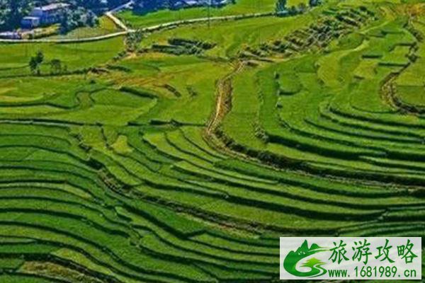 巴泽梯田最佳旅游时间 巴泽梯田在什么地方