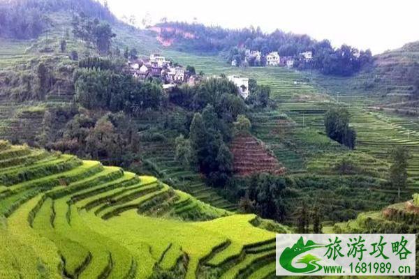 巴泽梯田最佳旅游时间 巴泽梯田在什么地方