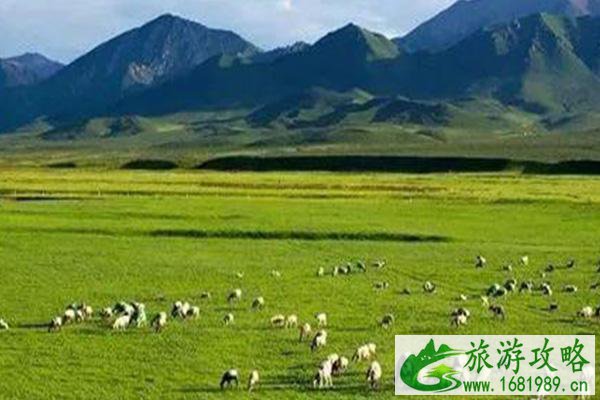 祁连山草原几月份去最好 祁连山草原旅游攻略 祁连山草原几月份去最好 祁连山草原旅游攻略