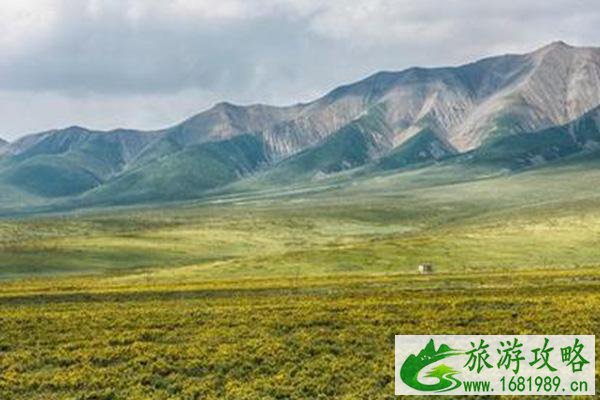 祁连山草原几月份去最好 祁连山草原旅游攻略 祁连山草原几月份去最好 祁连山草原旅游攻略