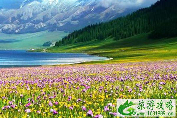 赛里木湖成功升级为5A级景区 2021旺季门票价格及优惠政策