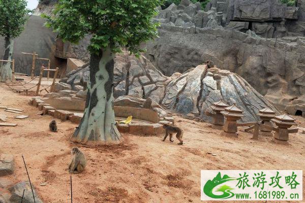 2021石家庄动物园门票多少钱一个人-门票优惠政策 2021石家庄动物园门票多少钱一个人-门票优惠政策