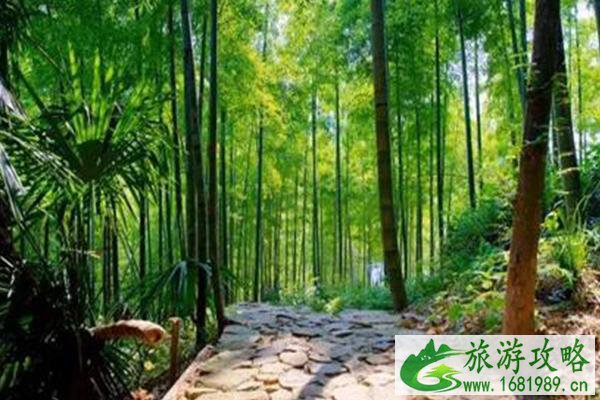 莫干山几月份去比较好 莫干山旅游攻略2021