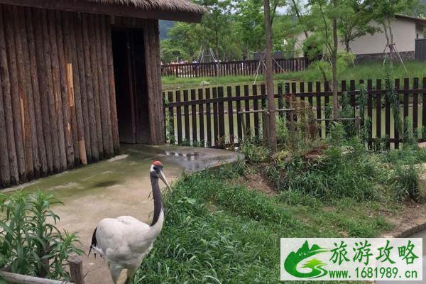 2021上方山森林动物世界景点介绍-游玩路线推荐