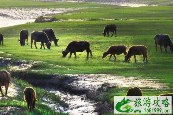2021西沙湿地5月临时闭园时间