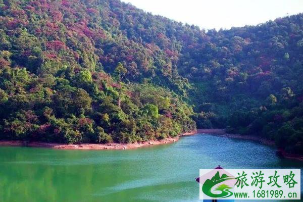 2021东莞大岭山森林公园游玩攻略 2021东莞大岭山森林公园游玩攻略
