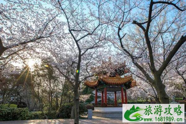 2021徐州五一旅游最佳去处-旅游景点推荐