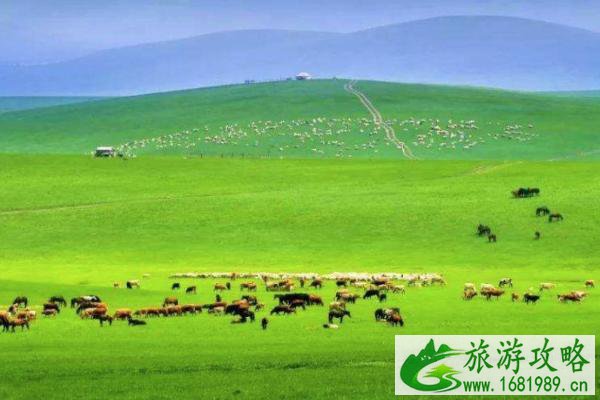 锡林郭勒草原几月份去最好-最佳游览时间 锡林郭勒草原几月份去最好-最佳游览时间
