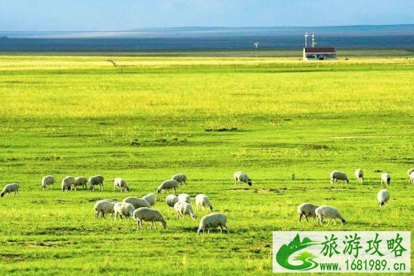 锡林郭勒草原几月份去最好-最佳游览时间 锡林郭勒草原几月份去最好-最佳游览时间