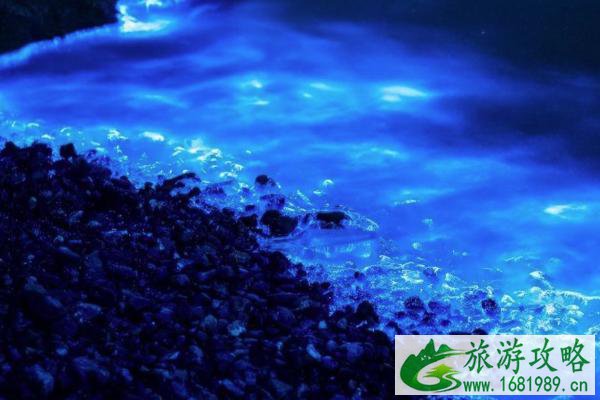 2021平潭蓝眼泪最佳观看时间 平潭蓝眼泪最佳观测点