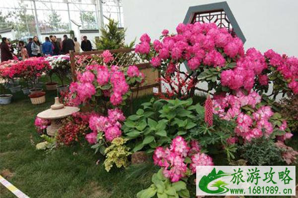 2021第三届中国杜鹃花节在哪里举办-购票指南