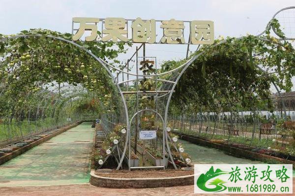 2021东莞创艺蓝莓风车季时间-地点-门票