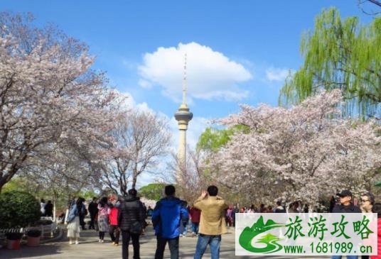 2021年5月玉渊潭公园旅游攻略 2021年5月玉渊潭公园旅游攻略