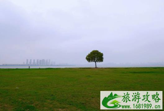 半月湾在哪里 半月湾孤独的大树在什么地方 半月湾在哪里 半月湾孤独的大树在什么地方