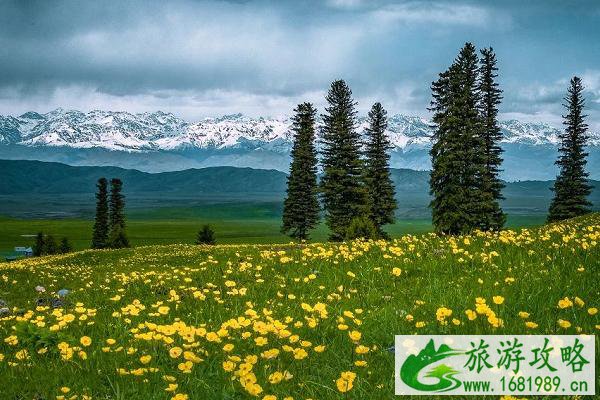 五一旅游适合去哪里 2021五一旅游国内最佳地 五一旅游适合去哪里 2021五一旅游国内最佳地