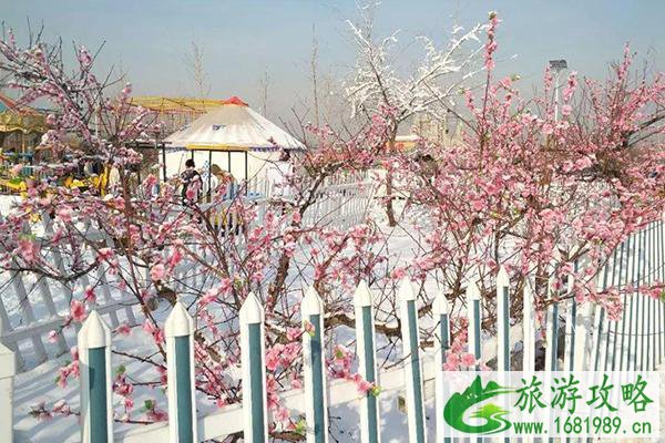 2021天津武清津溪桃源桃花节举办时间及门票-活动亮点