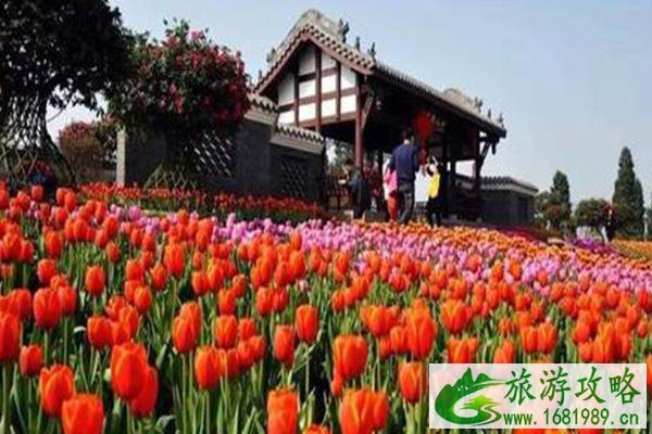 2021天津双街花卉博览园开放时间-门票价格 2021天津双街花卉博览园开放时间-门票价格