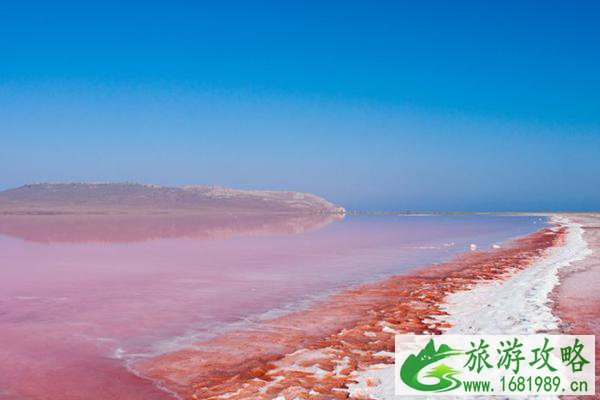 2021泰州香草湾粉色沙滩旅游季时间-地点及交通攻略