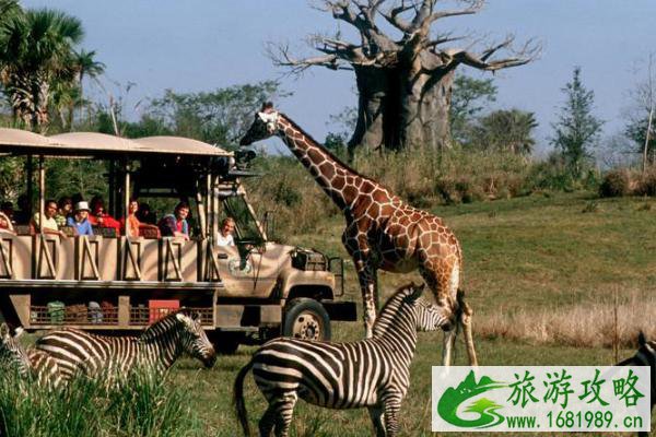 2021怀柔鹿世界主题公园开门了吗 怀柔鹿世界4月3日正式开园 2021怀柔鹿世界主题公园开门了吗 怀柔鹿世界4月3日正式开园