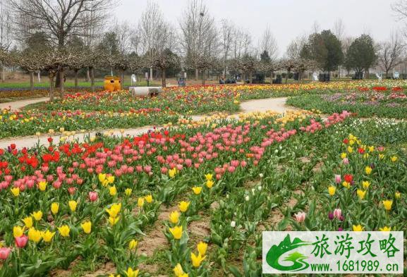 2021年清明节北京旅游景点推荐 2021年清明节北京旅游景点推荐