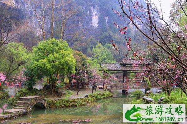 2021酉阳桃花源最佳旅游时间-景点介绍