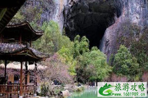2021酉阳桃花源最佳旅游时间-景点介绍