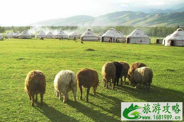 鄂尔多斯草原几月份去最好-最佳旅游时间以及游玩攻略