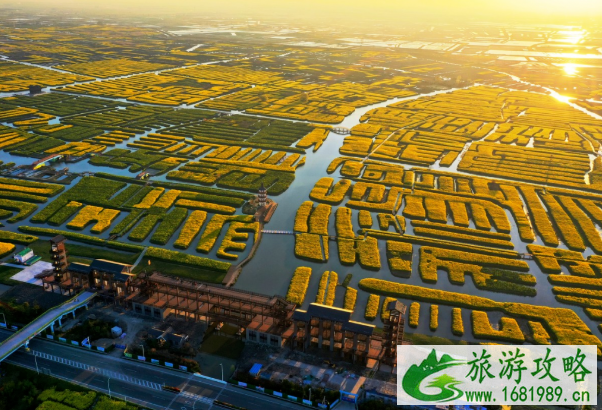 2021泰州秋雪湖郁金香花展时间及活动详情 2021泰州秋雪湖郁金香花展时间及活动详情