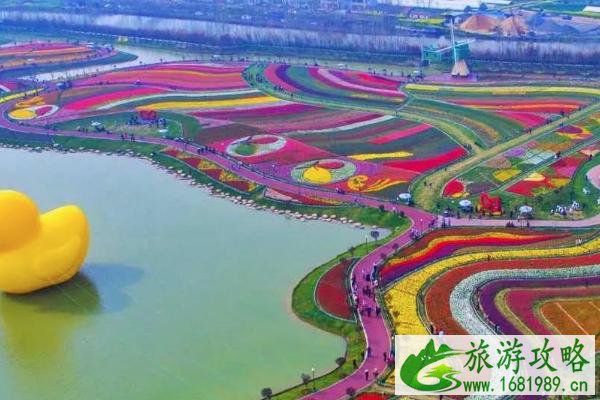 2021荷兰花海郁金香文化月时间-地点-活动详情