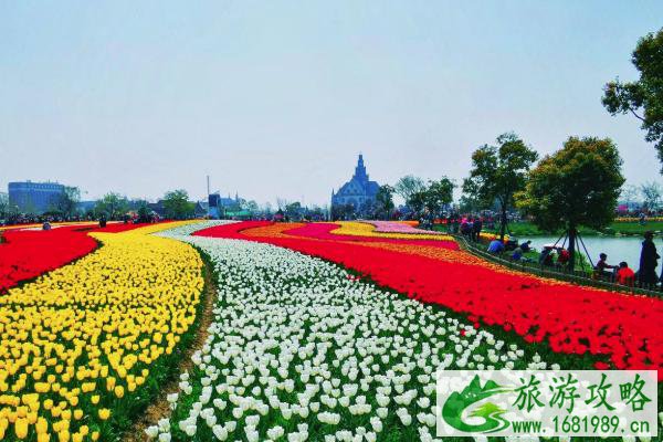 2021荷兰花海郁金香文化月时间-地点-活动详情