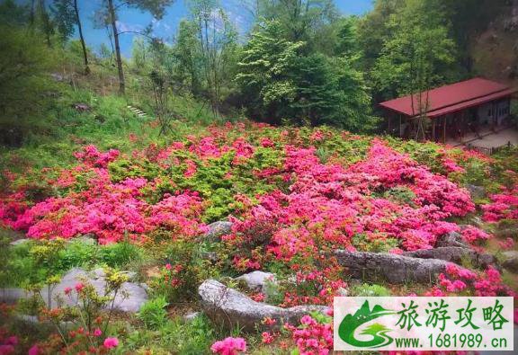 适合春季旅游的景点有哪些 适合春季旅游的景点有哪些
