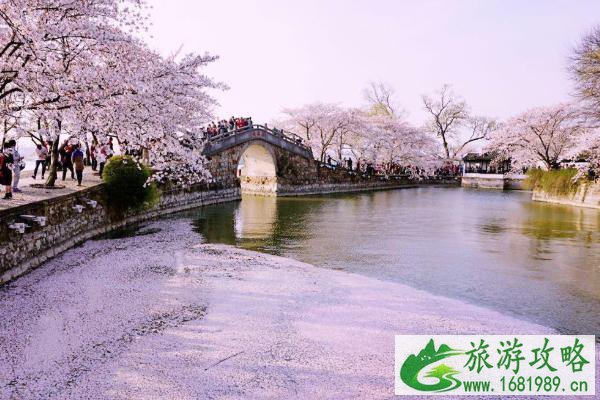 2021无锡赏花的地方有哪些 无锡赏花好去处