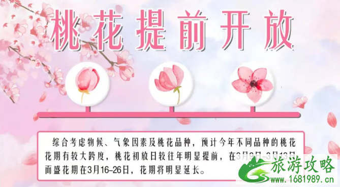 阳山桃花节2021时间及转车攻略 阳山桃花节2021时间及转车攻略