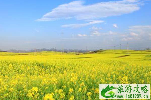 2021无锡九龙湾花星球赏桃花攻略-时间地点及活动