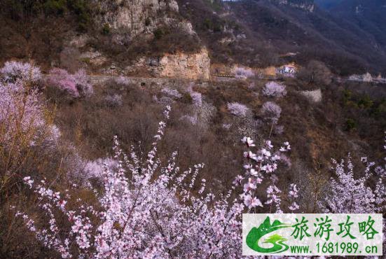 2021焦作云台山门票多少钱 云台山现在门票价格是多少 2021焦作云台山门票多少钱 云台山现在门票价格是多少