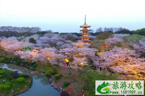 2021东湖樱园晚上能去吗 东湖樱园医护免费吗