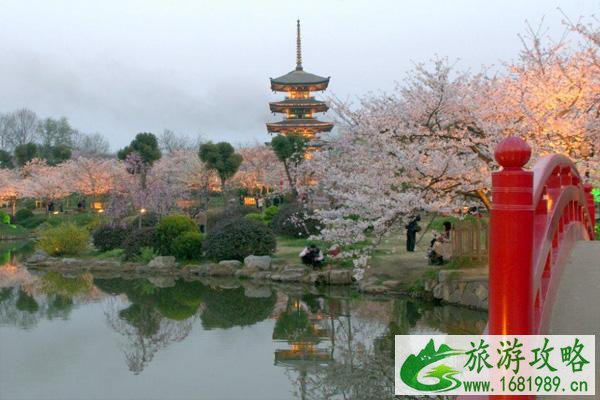 2021东湖樱园晚上能去吗 东湖樱园医护免费吗