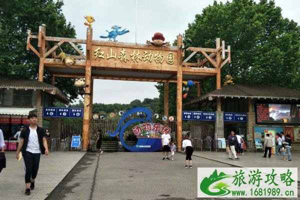 2021红山森林动物园营业时间 红山森林动物园门票多少