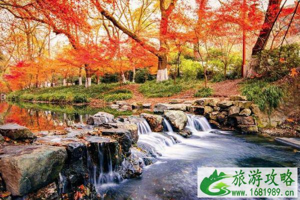 2021九溪十八涧游玩攻略 九溪十八涧最佳路线