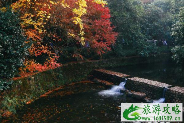 2021九溪十八涧游玩攻略 九溪十八涧最佳路线