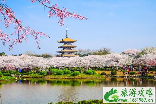 2021东湖樱园晚上能去吗 东湖樱园医护免费吗