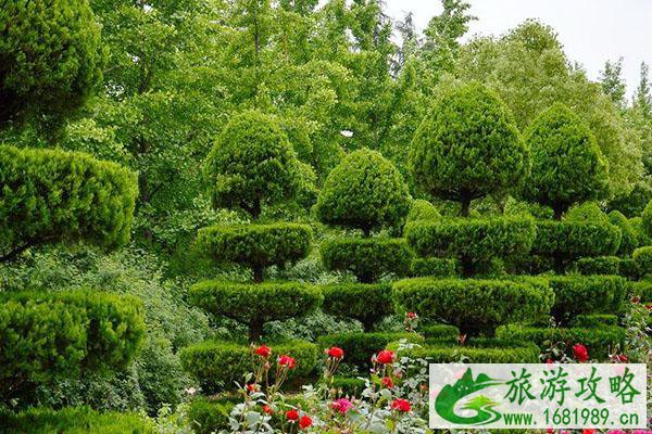 2021隋唐城遗址植物园首届花朝节游玩指南